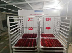 辣椒，秋葵烘干機(jī)